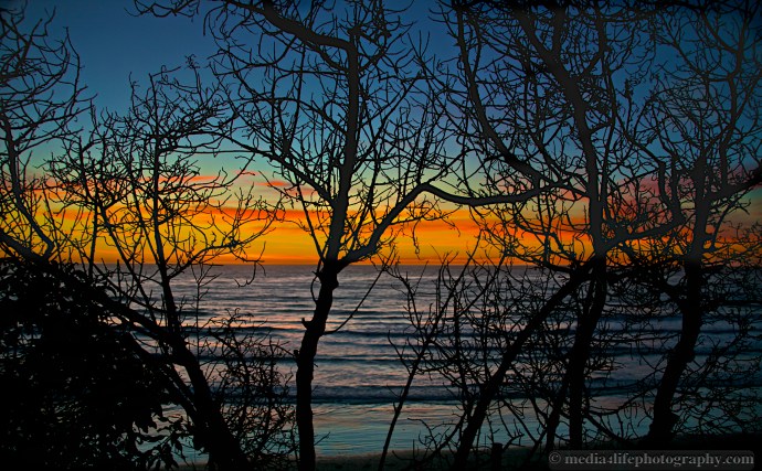 Along the bluff in Encinitas, CA