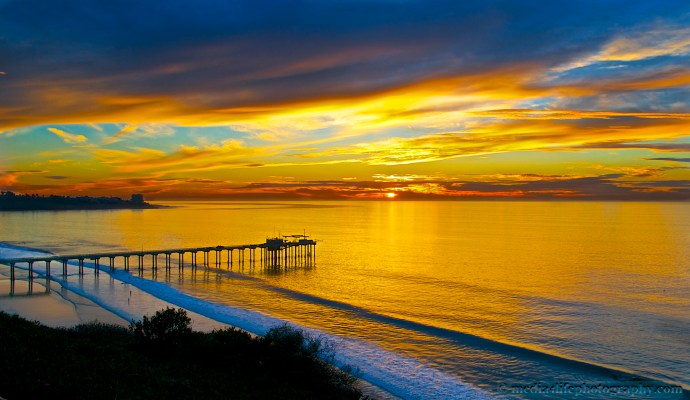 Overlooking the Scripps Pier and La Jolla Shores